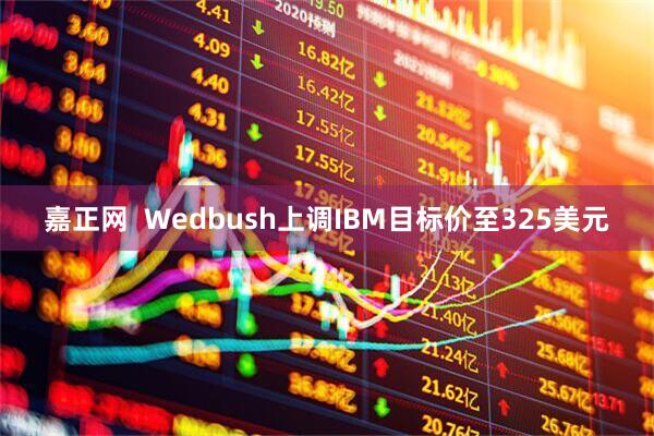 嘉正网  Wedbush上调IBM目标价至325美元