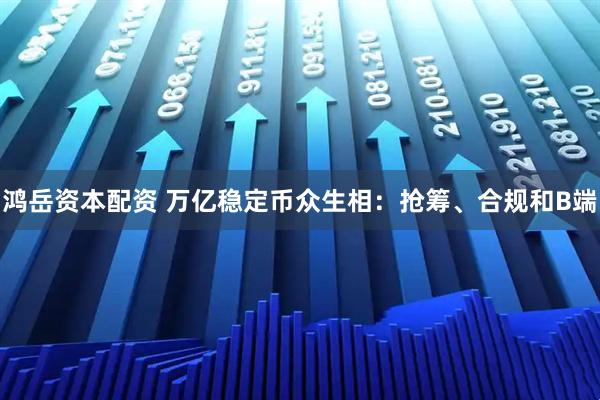 鸿岳资本配资 万亿稳定币众生相：抢筹、合规和B端