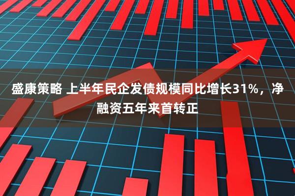 盛康策略 上半年民企发债规模同比增长31%，净融资五年来首转正