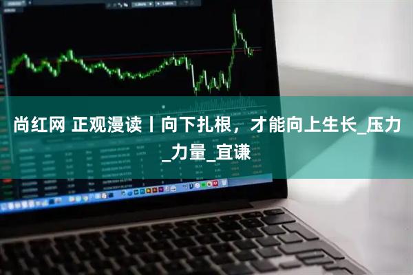 尚红网 正观漫读丨向下扎根，才能向上生长_压力_力量_宜谦