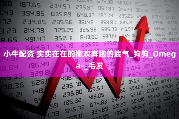 小牛配资 实实在在的撒欢奔跑的底气_狗狗_Omega-_毛发
