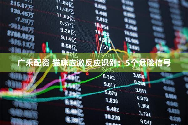 广禾配资 猫咪应激反应识别：5个危险信号