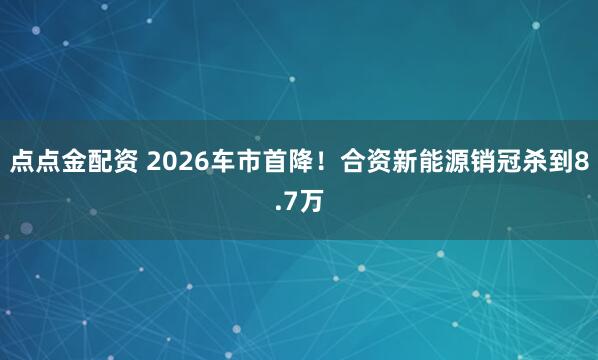 点点金配资 2026车市首降！合资新能源销冠杀到8.7万
